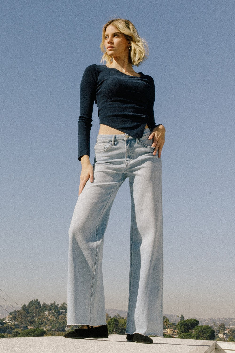 Vervet High Rise Wide Leg Jeans