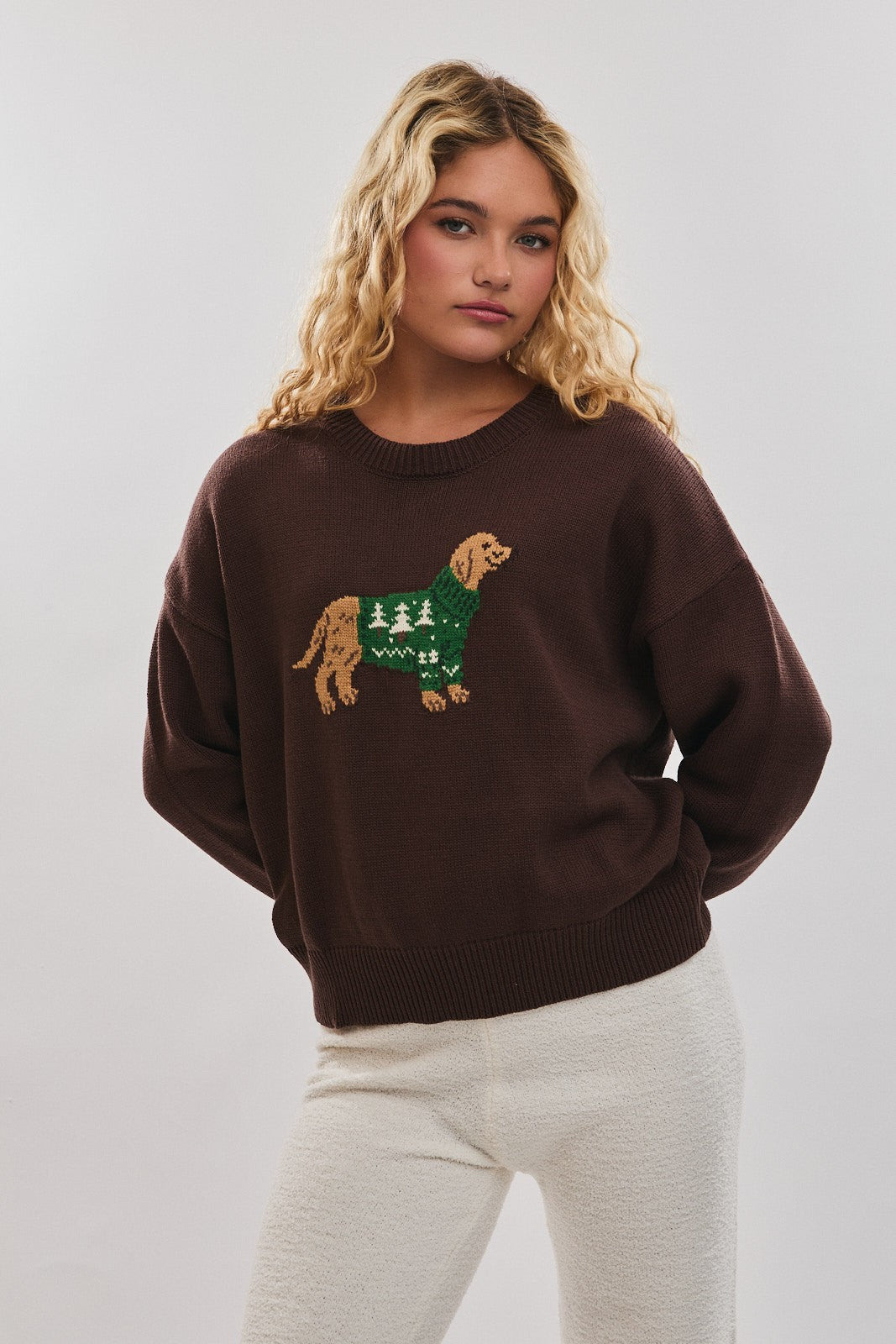 Lila Brown Dog Sweater
