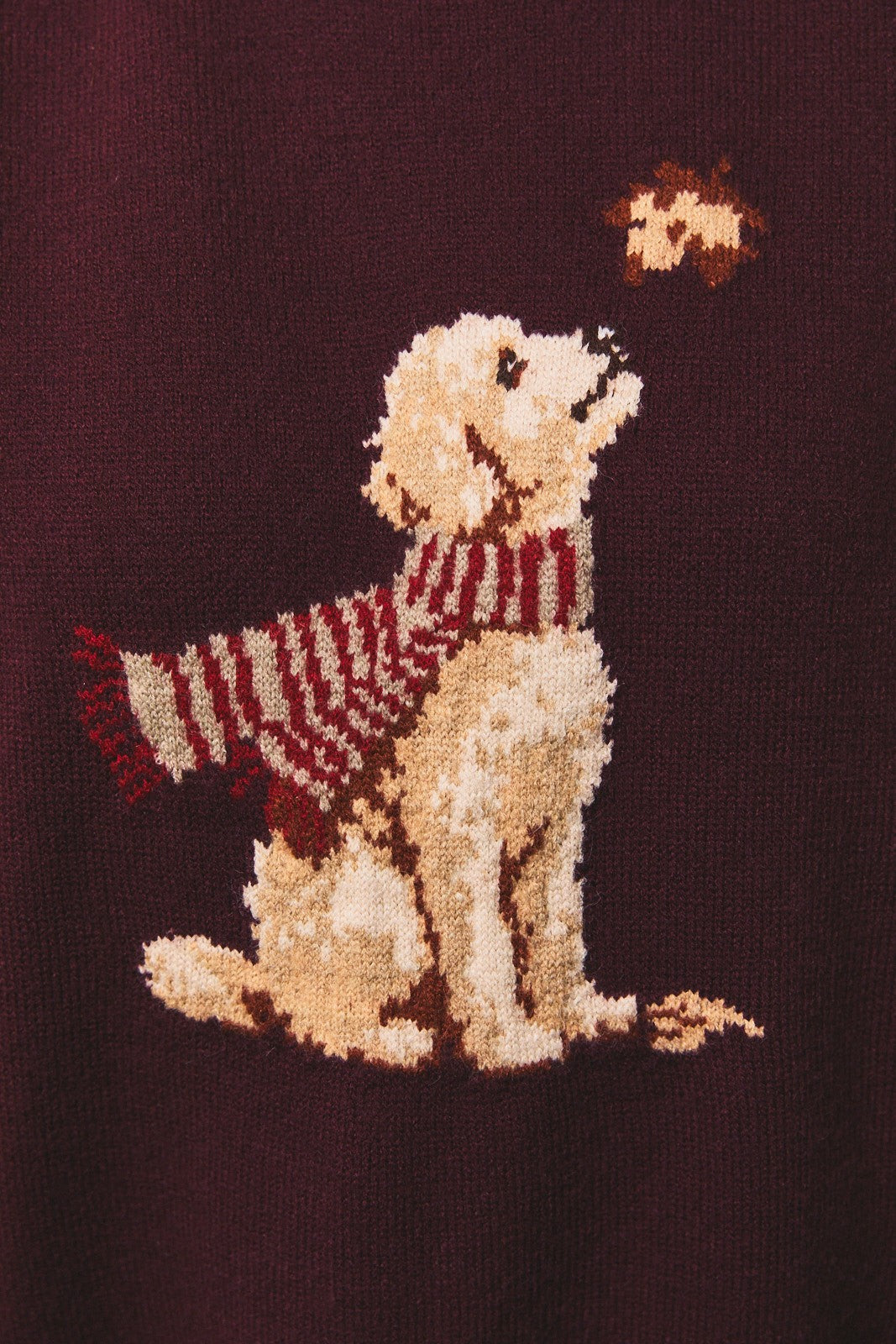 Fall Puppy Sweater