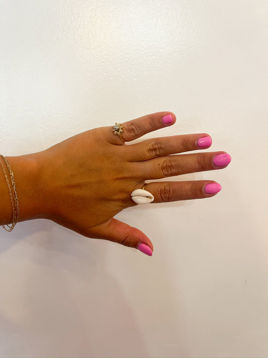 Shell Rings