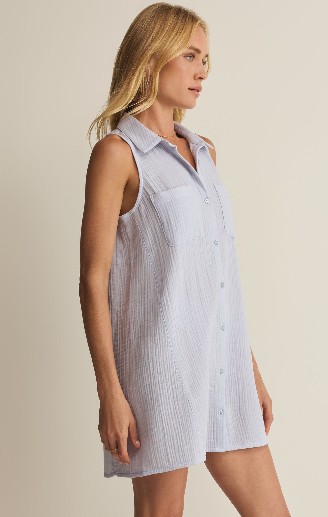 Z SUPPLY NEW LIGHT MINI DRESS