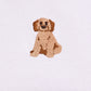 Lucy Goldendooddle Top