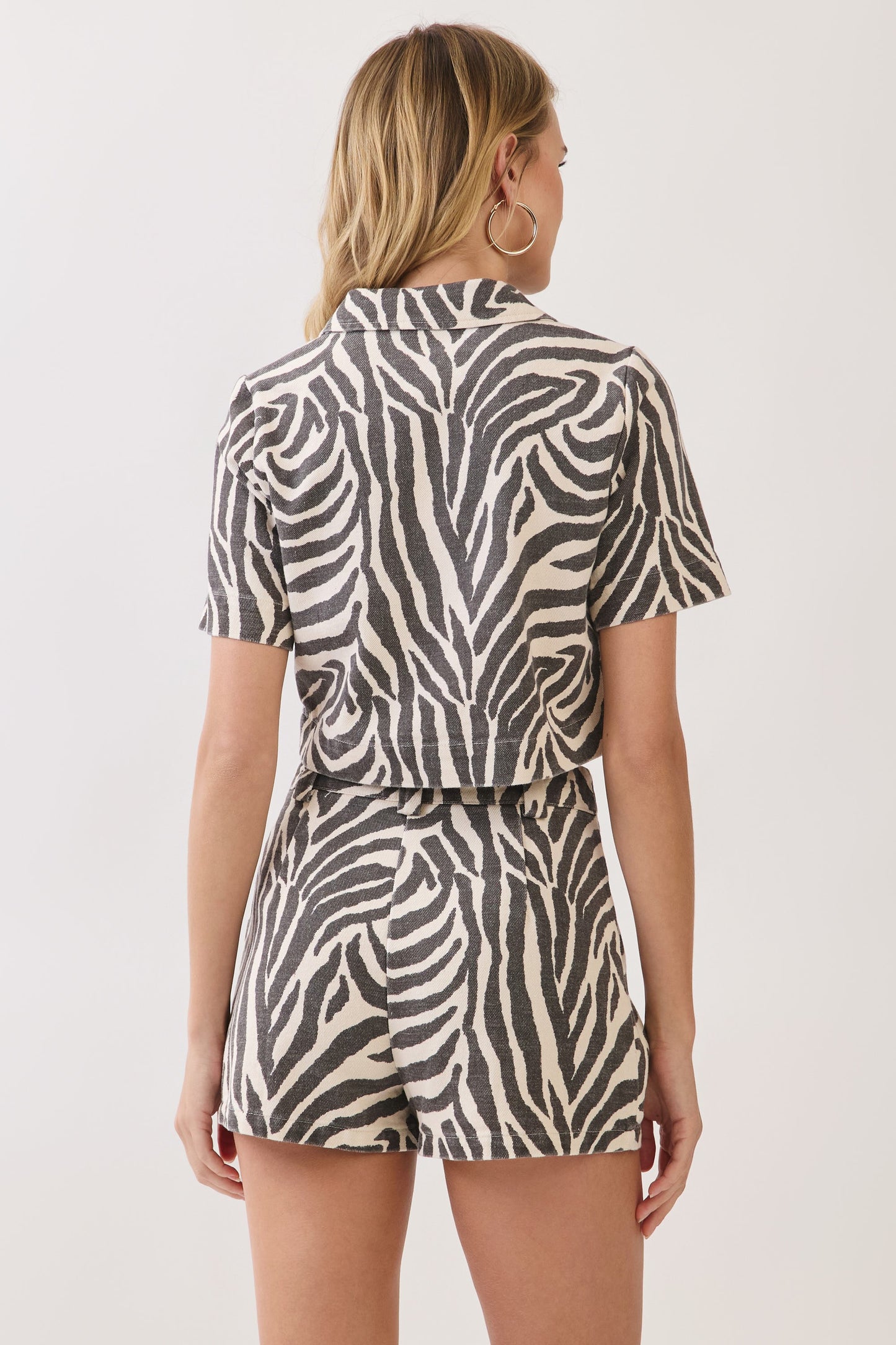 Taylor Zebra Set Top