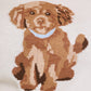 Gracie dog top