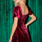 Dani velvet dress