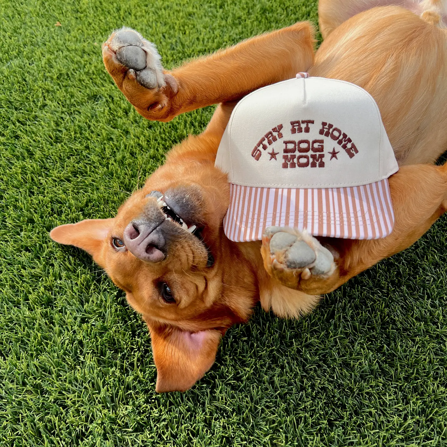 Stay At Home Dog Mom- Brown Striped Hat