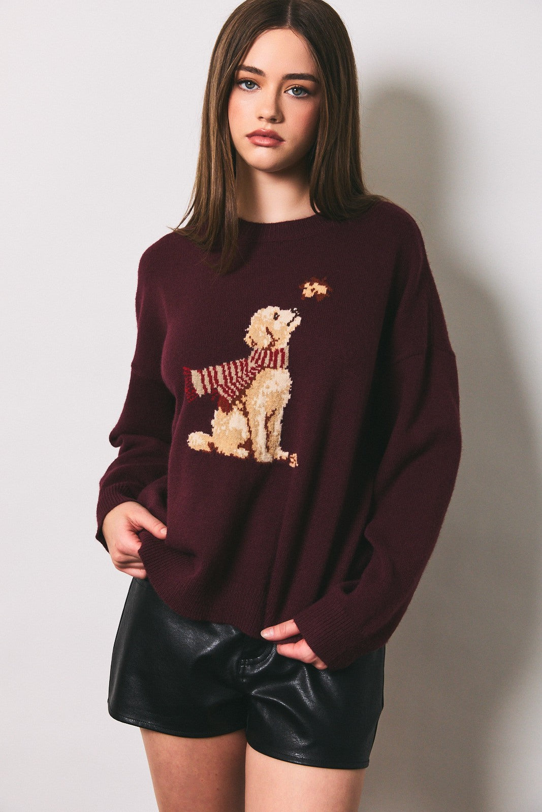 Fall Puppy Sweater