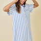 Daisy Blue Striped Shirt Dress