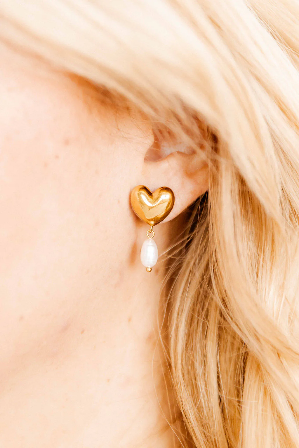 Dani Dangle Earrings