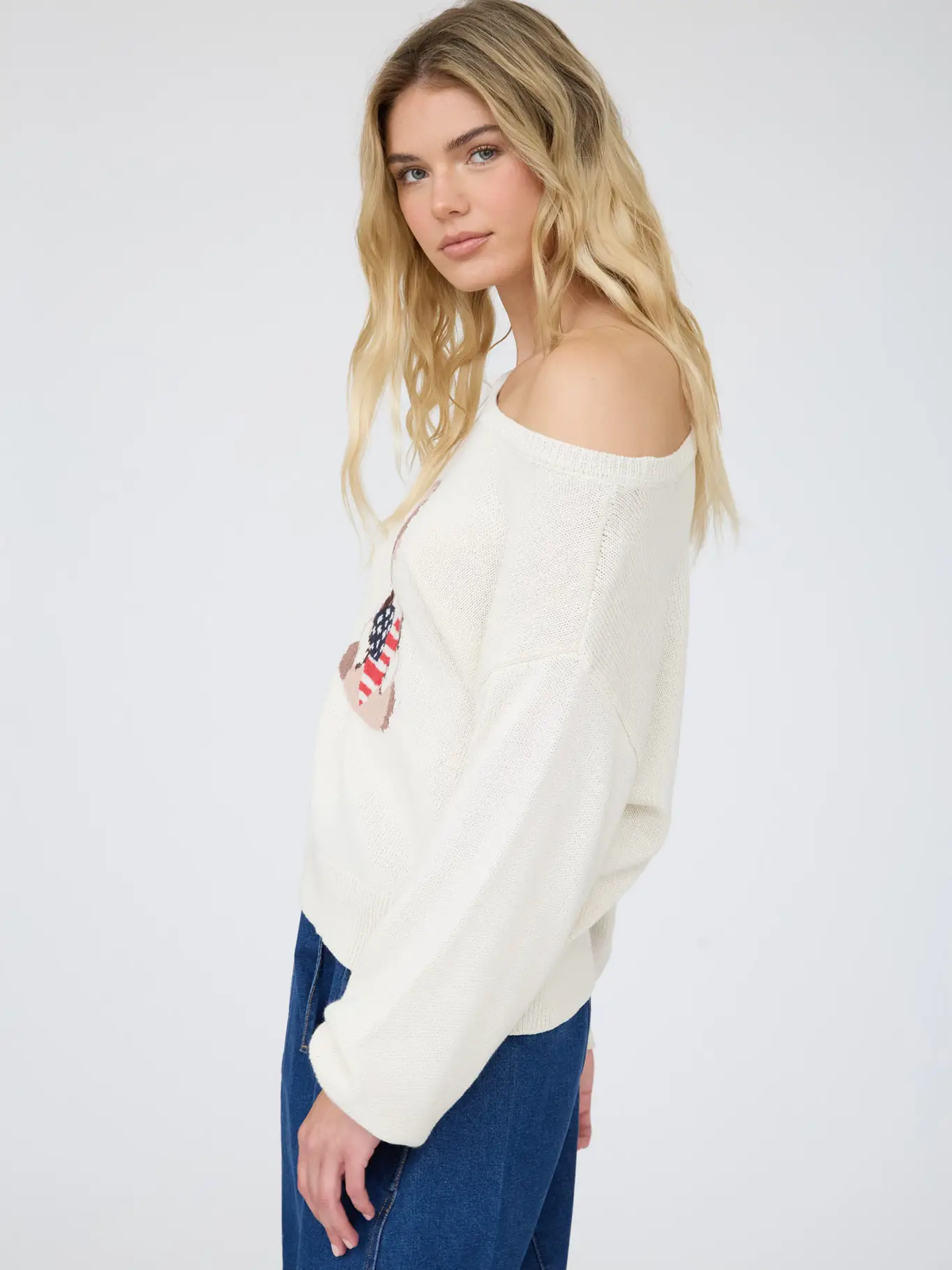 American Heart Puppy Sweater