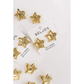 Star Studded Earrings