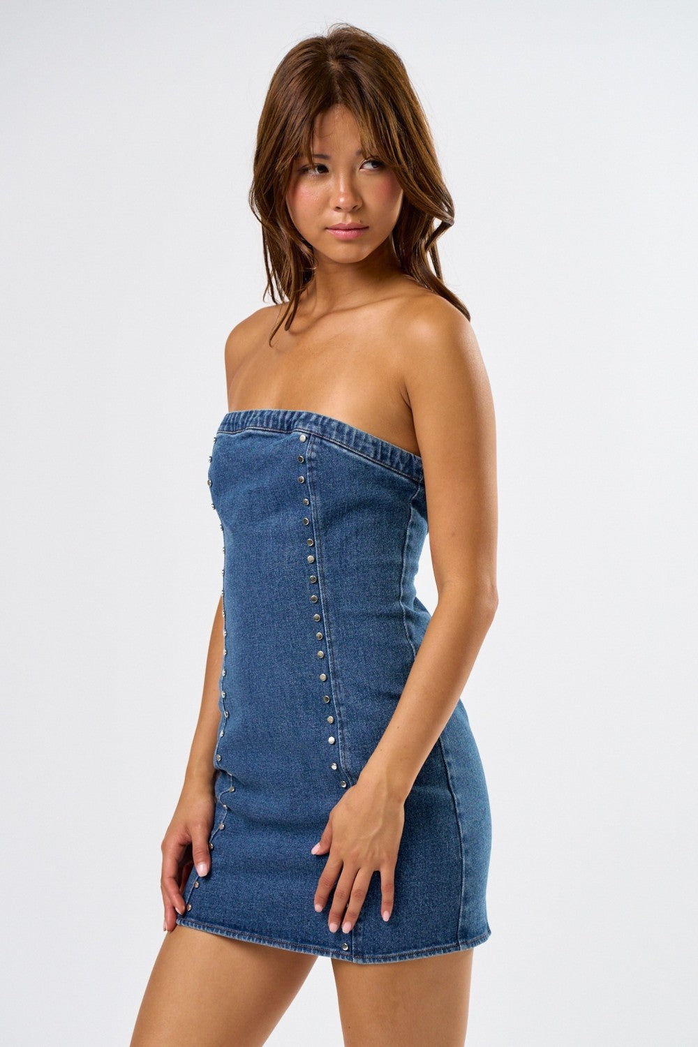 Brielle Denim Dress
