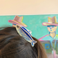 Hair Clips