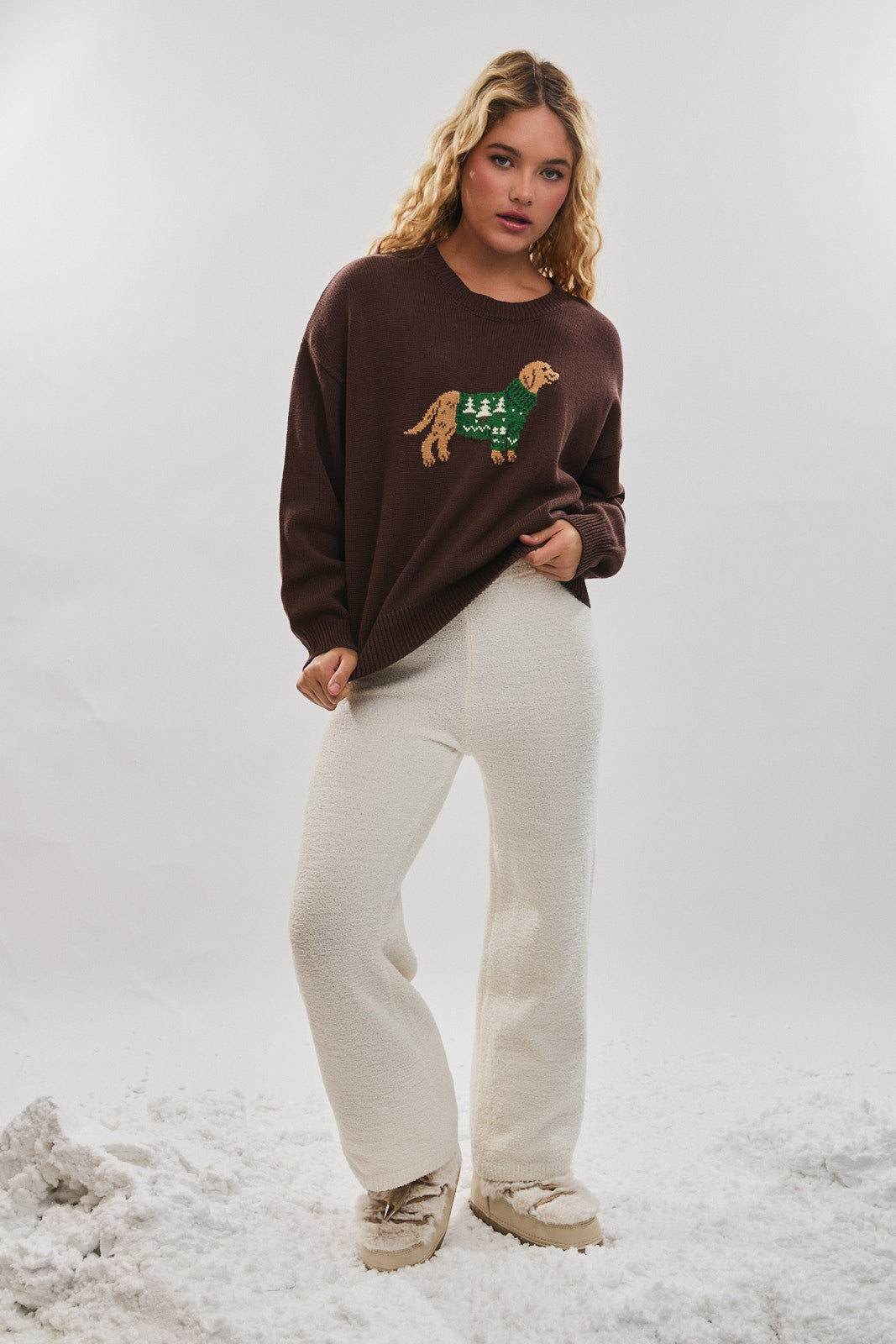 Lila Brown Dog Sweater