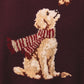 Fall Puppy Sweater
